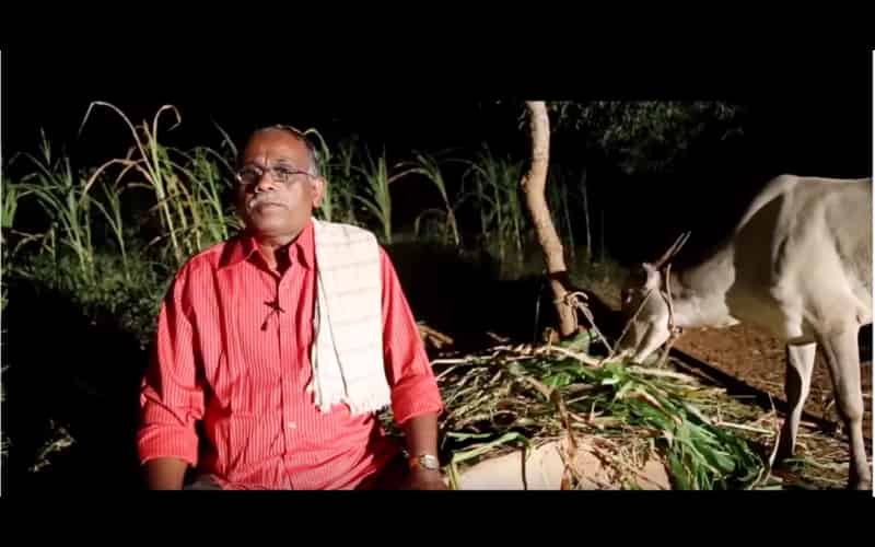 Webp.net-resizeimage (4)