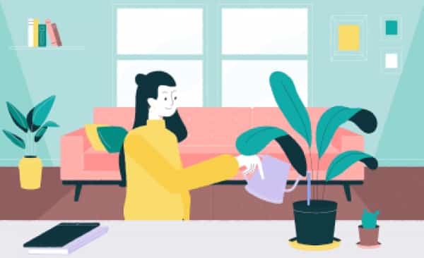 Explainer Video Production Companies in Red Deer