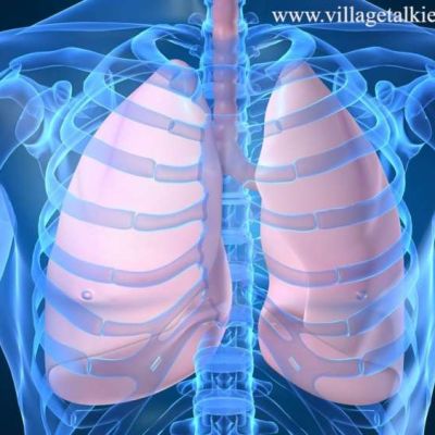 Best Medical and Healthcare Video Production Companies in Austin, Texas, USA