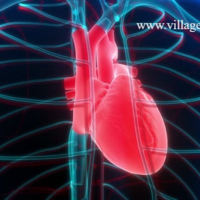 Best 5 Medical and Healthcare Video Production Companies in California, USA