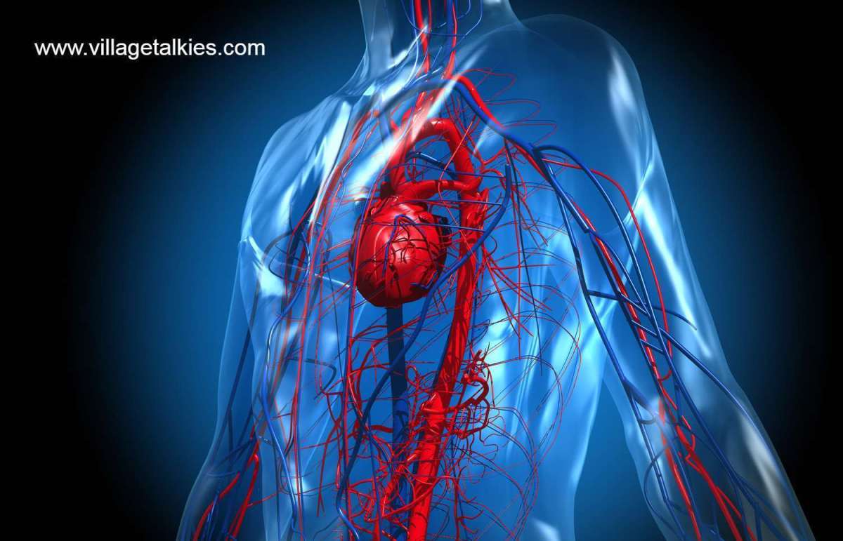 Top 5 Healthcare and Medical Video Production Companies in Ajman, UAE