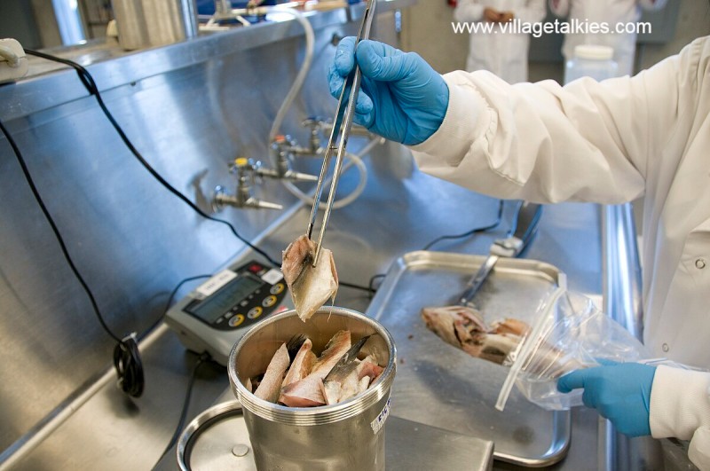 Top 5 Safety Video Production Companies in Malaysia