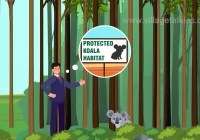 NCC Land Clearing